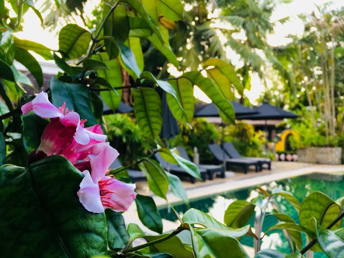 Resort Bangtao