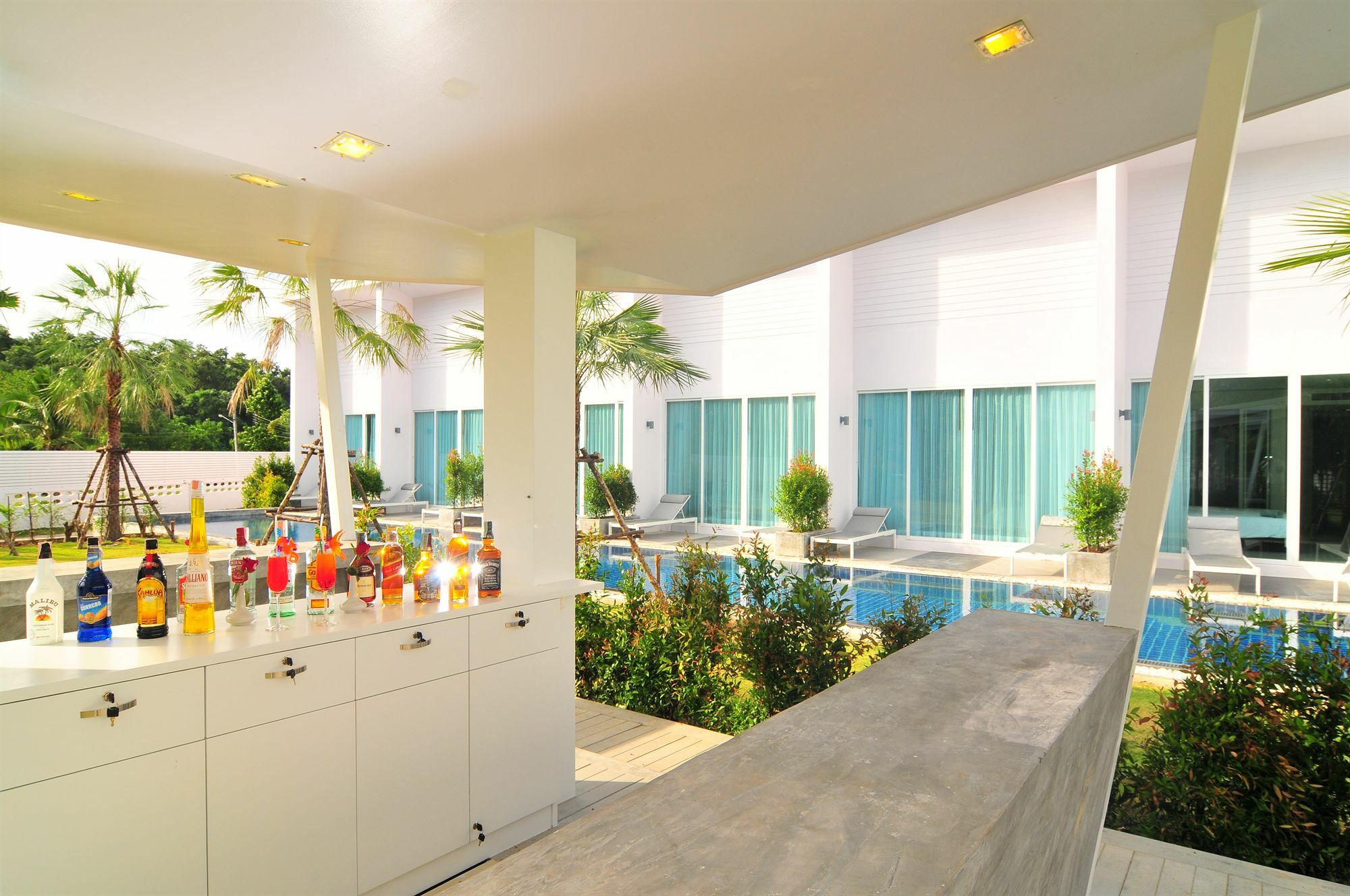 The Palmery