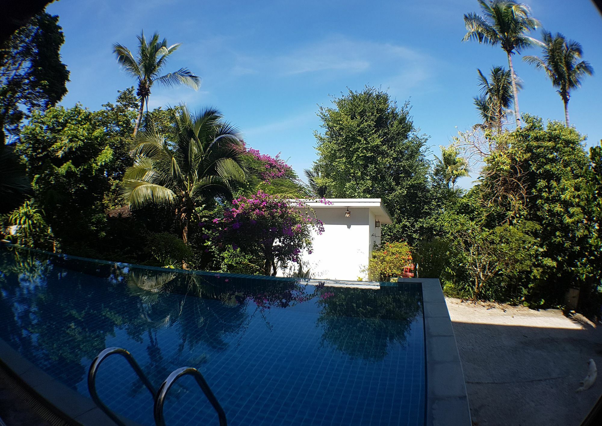 Top Villas *