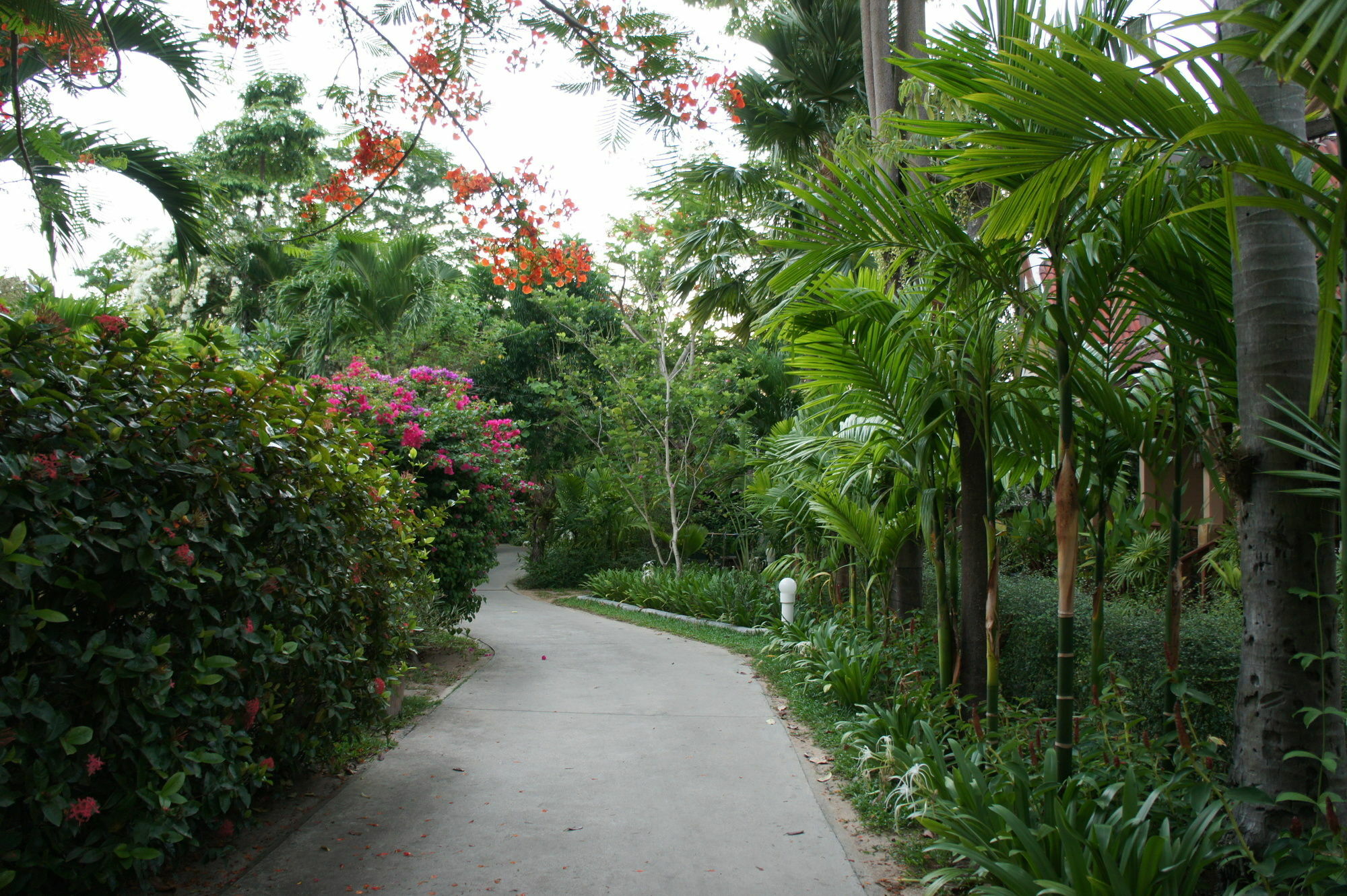 Palm Village Resort Rawai