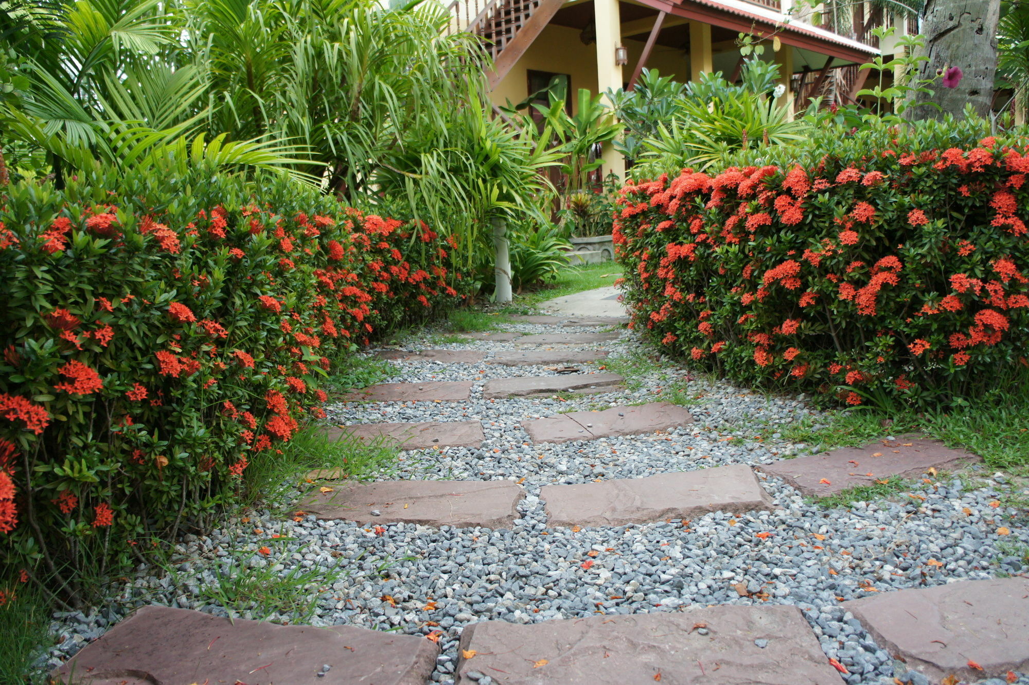 Palm Village Resort 3*