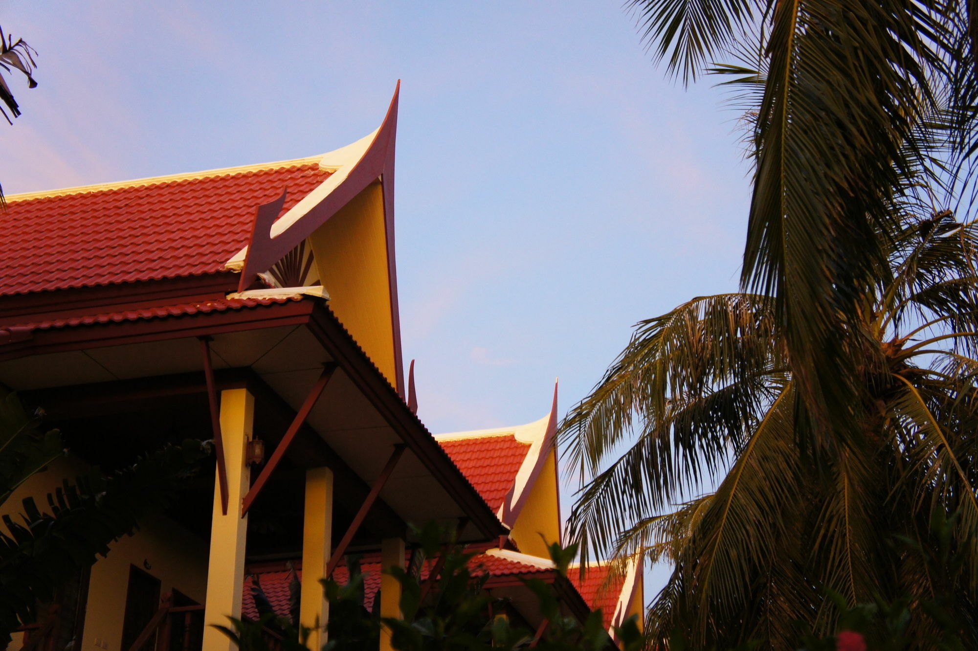 Palm Village 3*