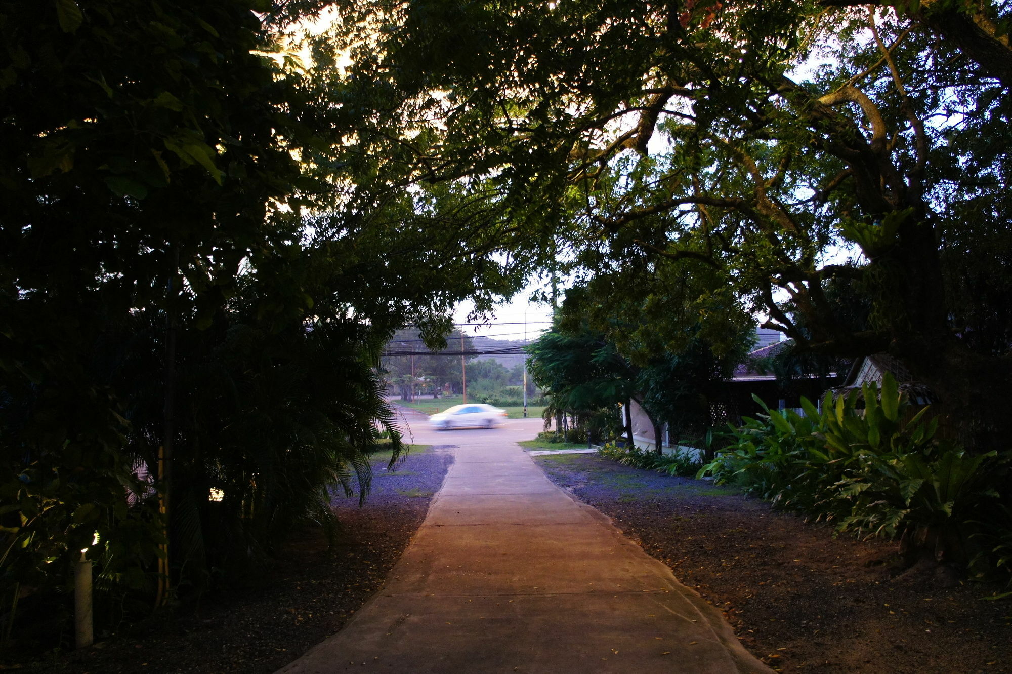 Resort Palm Village 3*