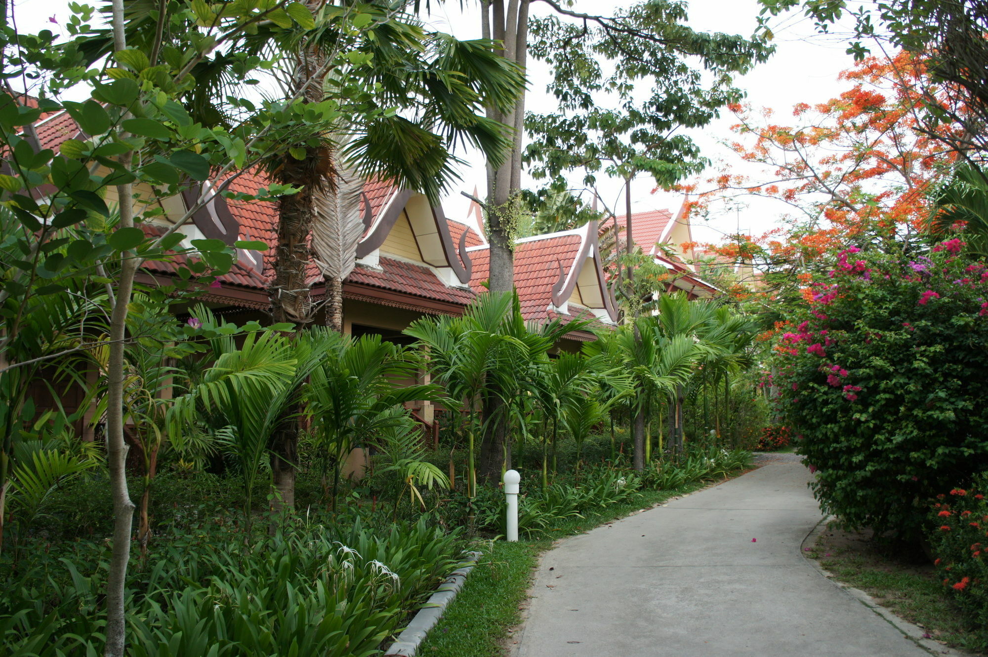 Palm Village Resort Rawai