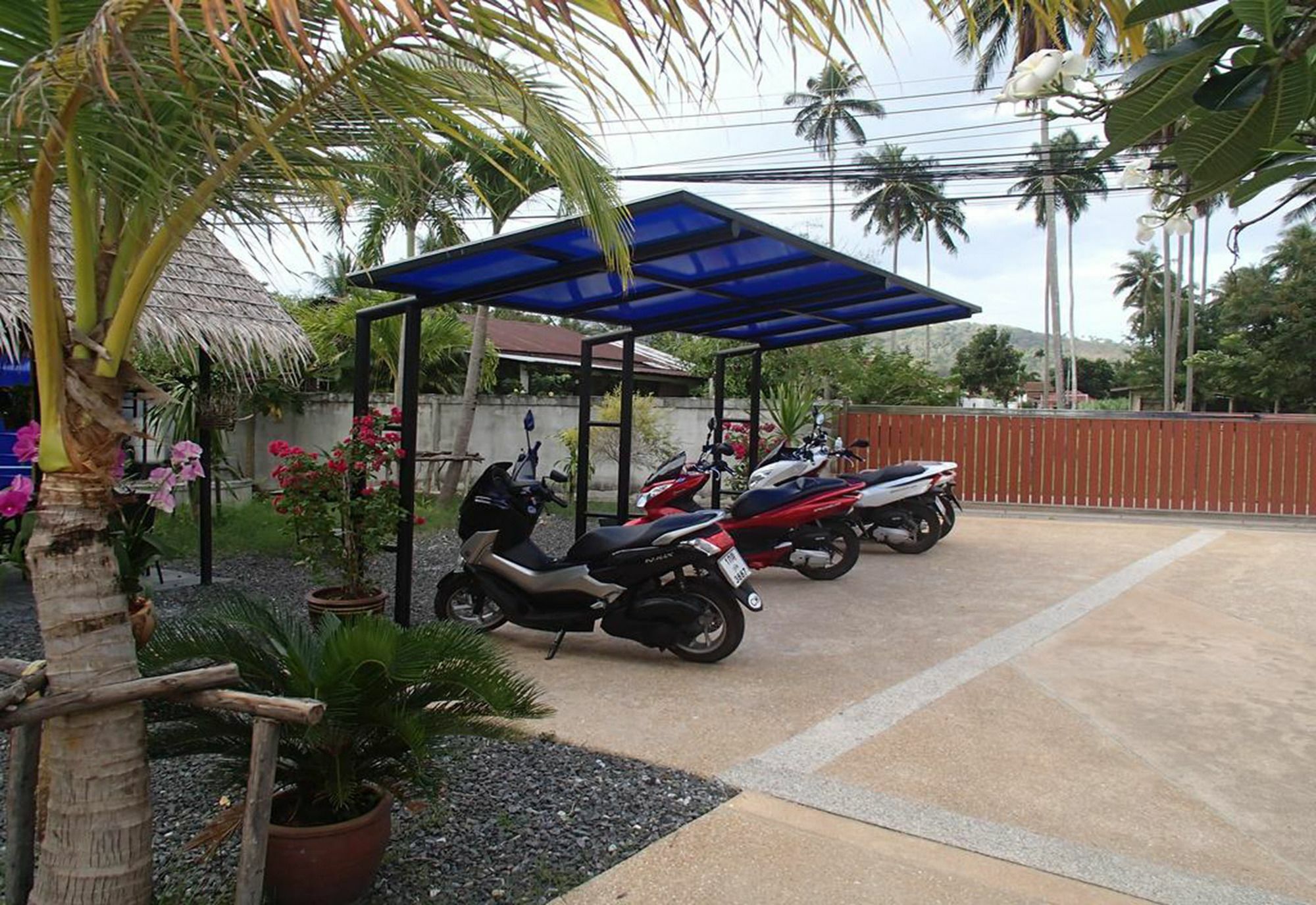 Coconoi Nai Harn
