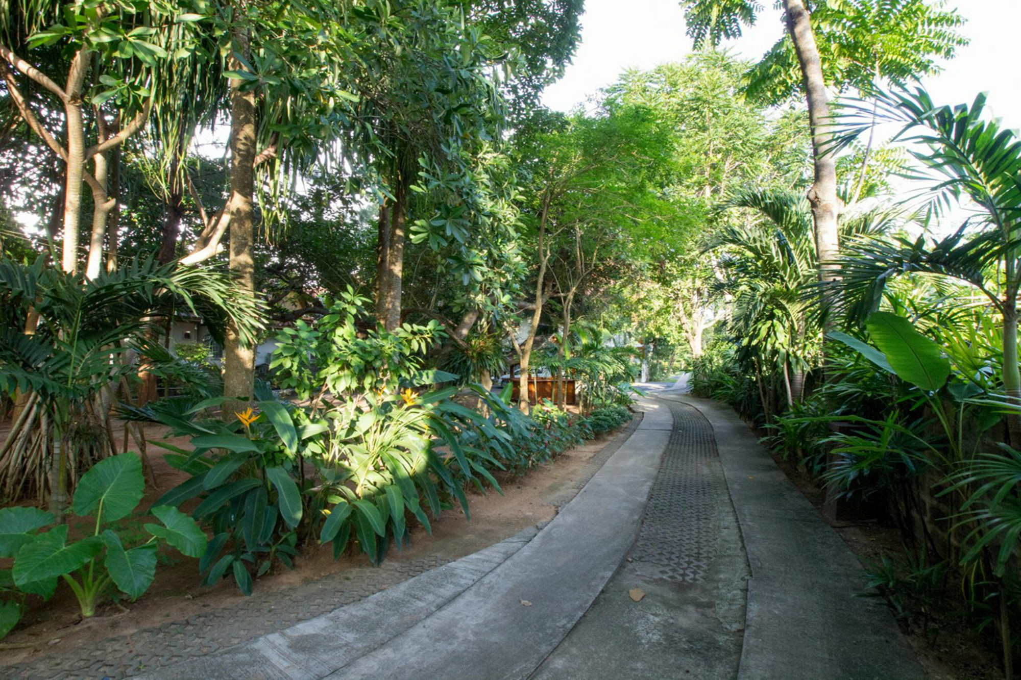 Apartment Aisawan