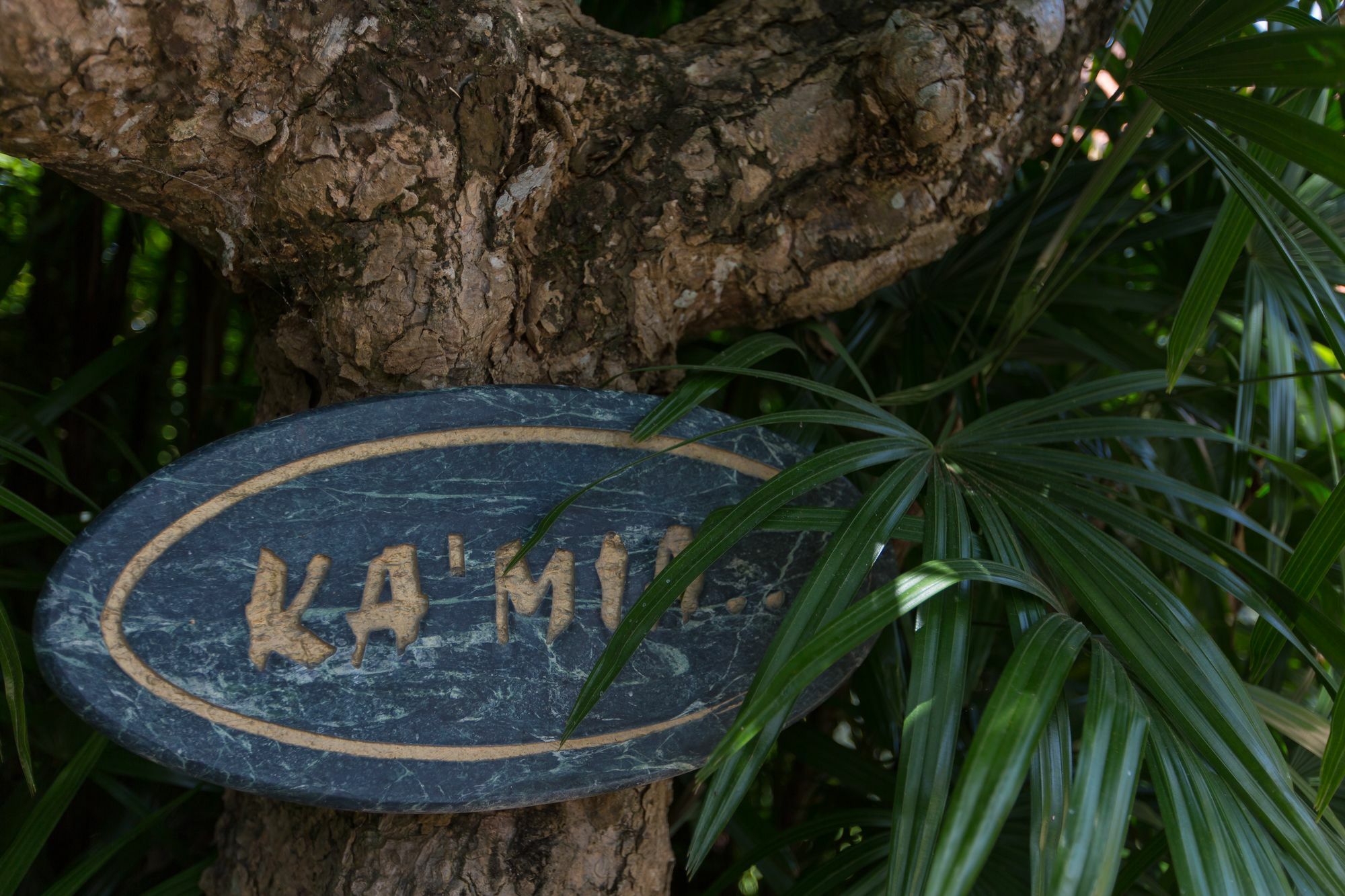 Katamanda Luxury Villa