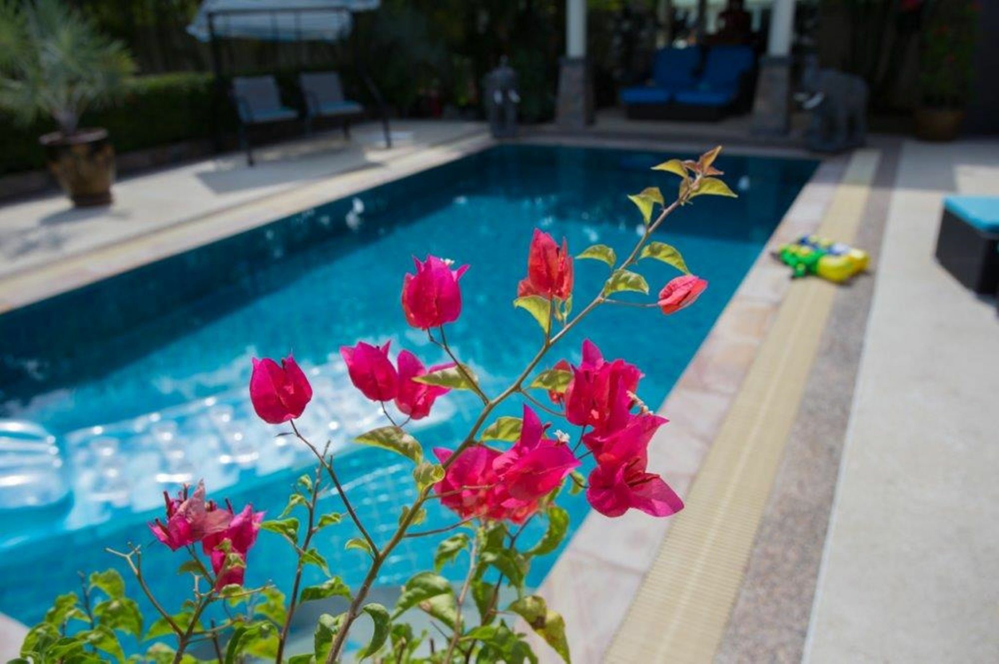 Cophi 3 Bd Pool Nai Harn *