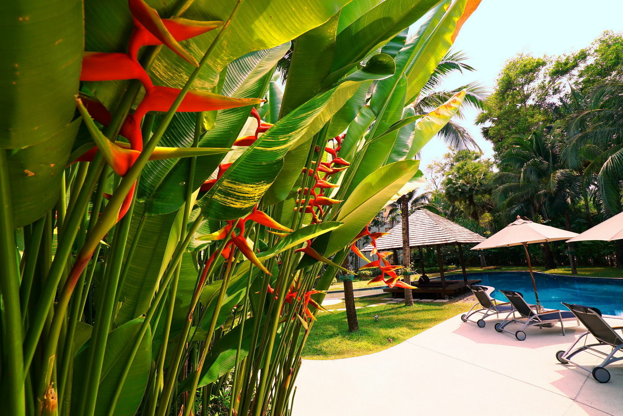 Casuarina Shores - Sha Aparthotel 4*