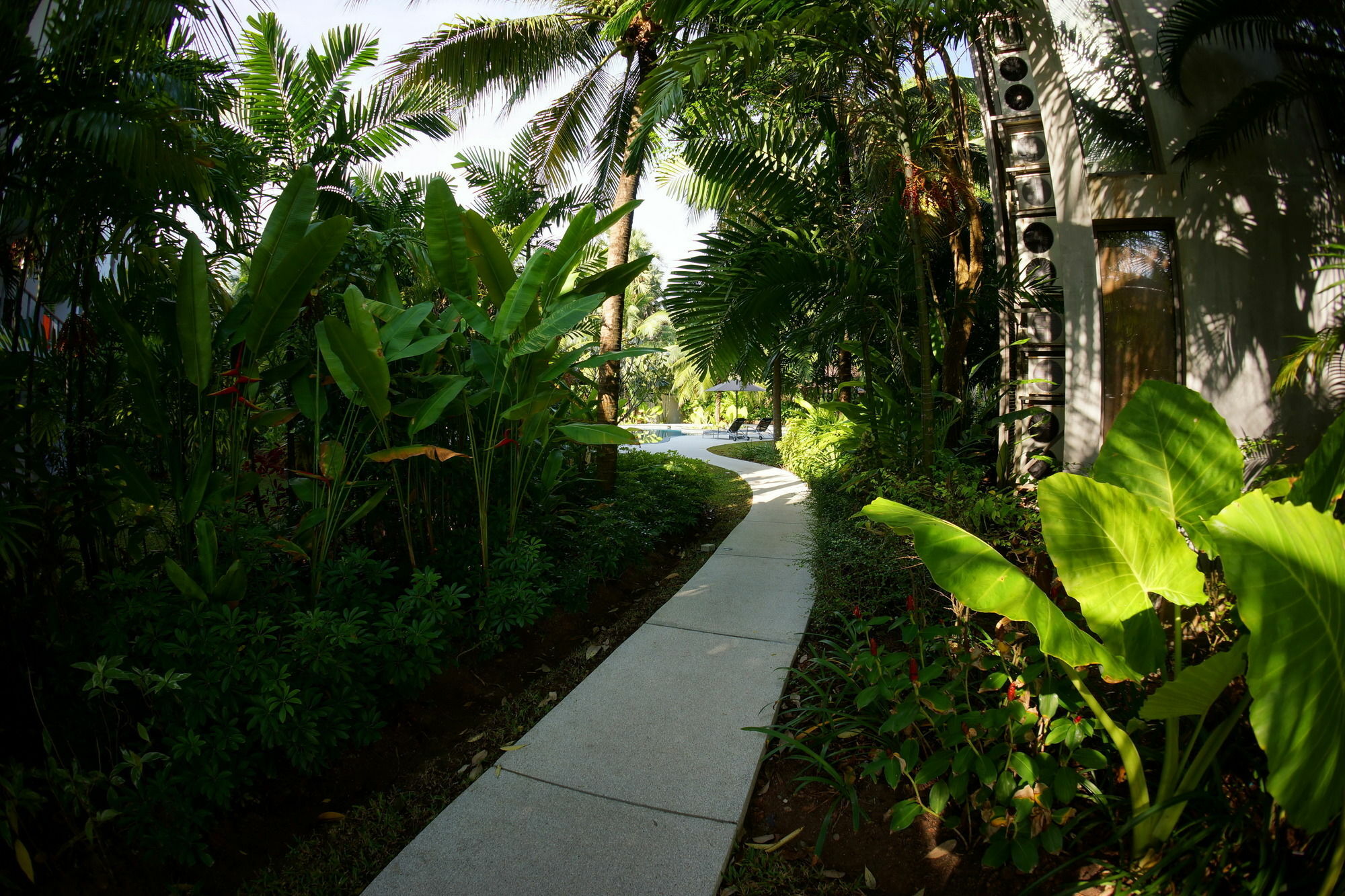 Casuarina Shores - Sha Bang Tao Beach (Phuket)