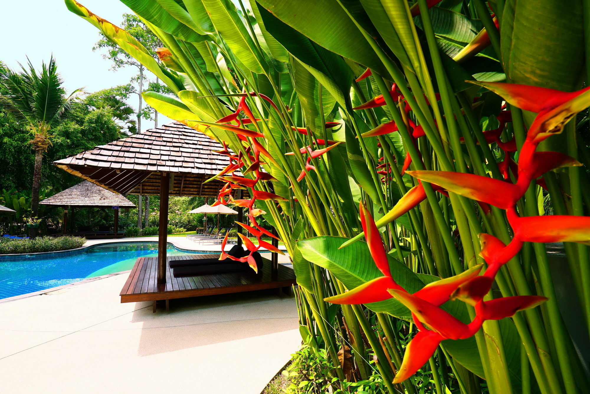Casuarina Shores - Sha Aparthotel