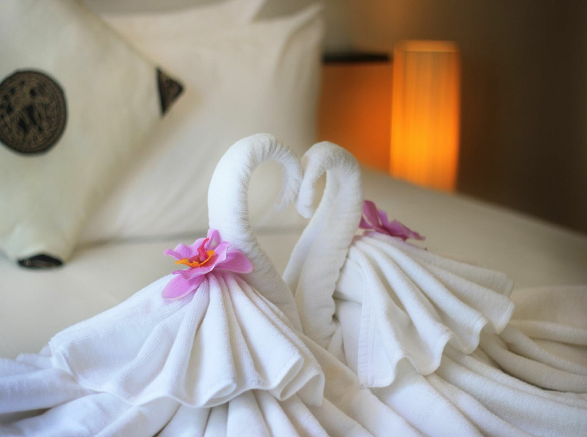 Coconut Grove Boutique Villa *
