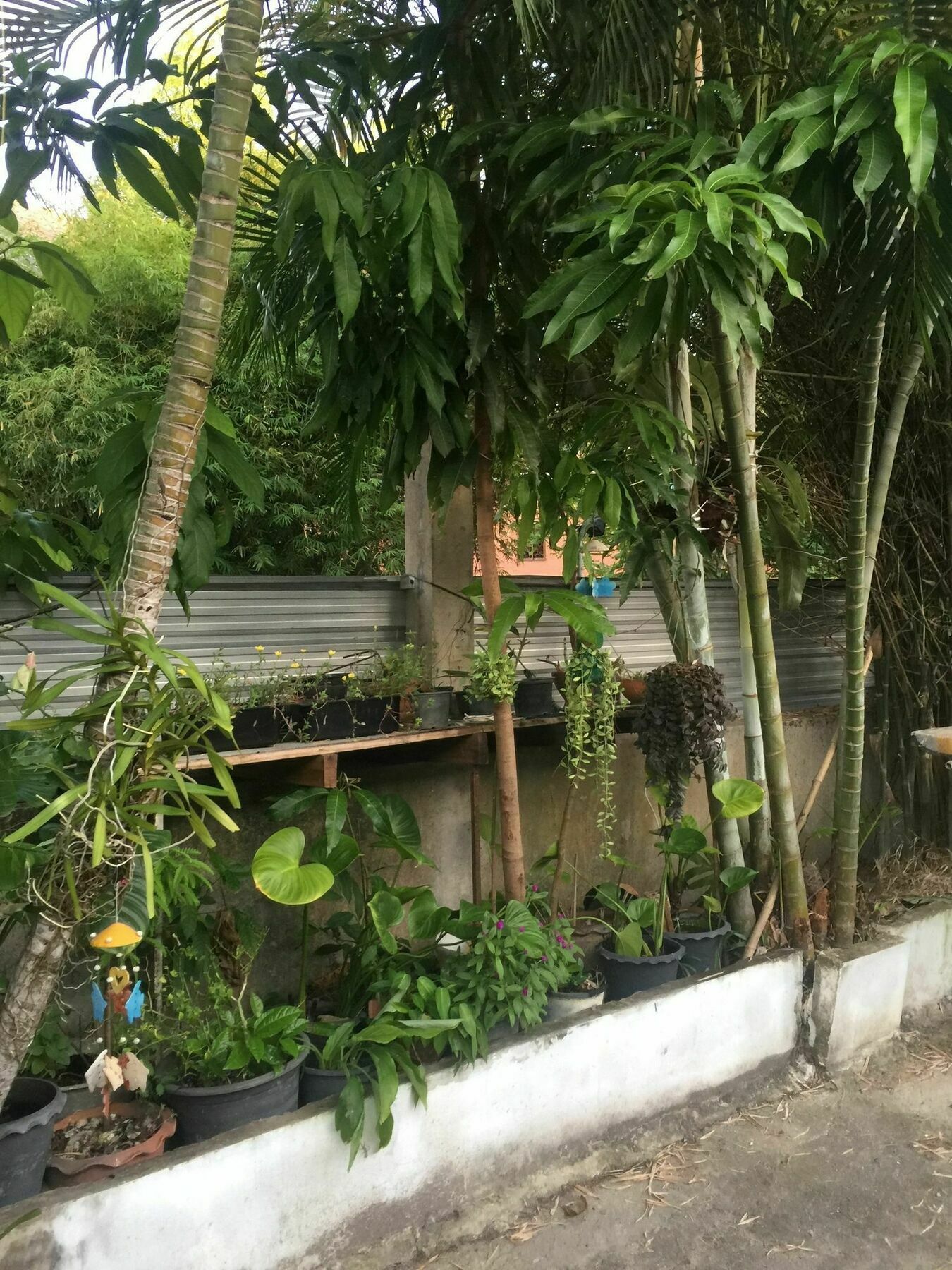 Nan Casa de hóspedes 2*