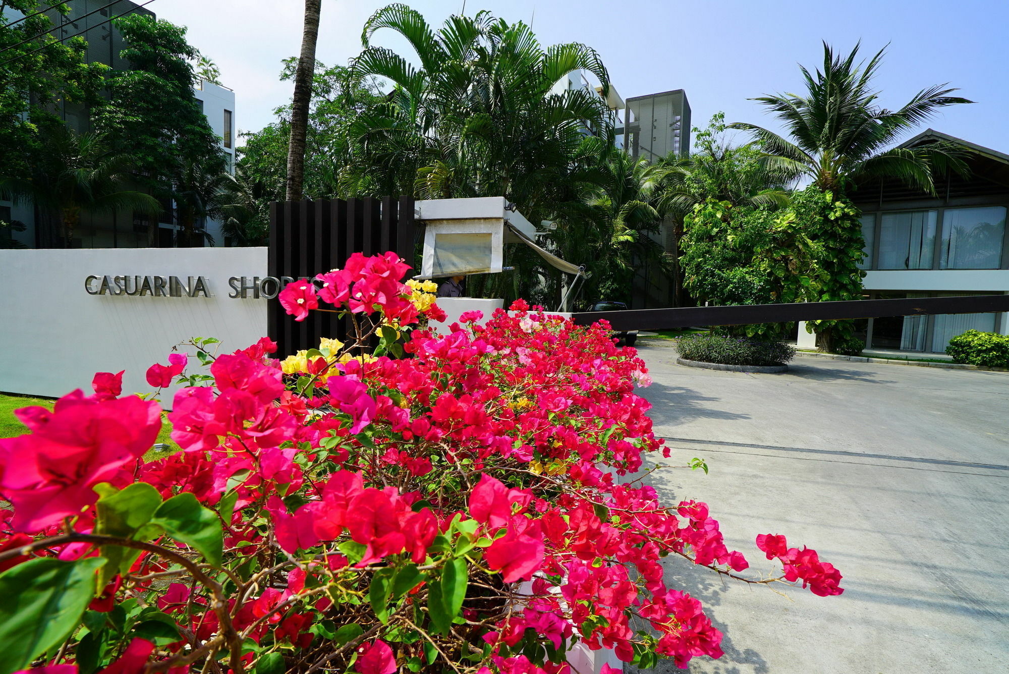 Casuarina Shores - Sha