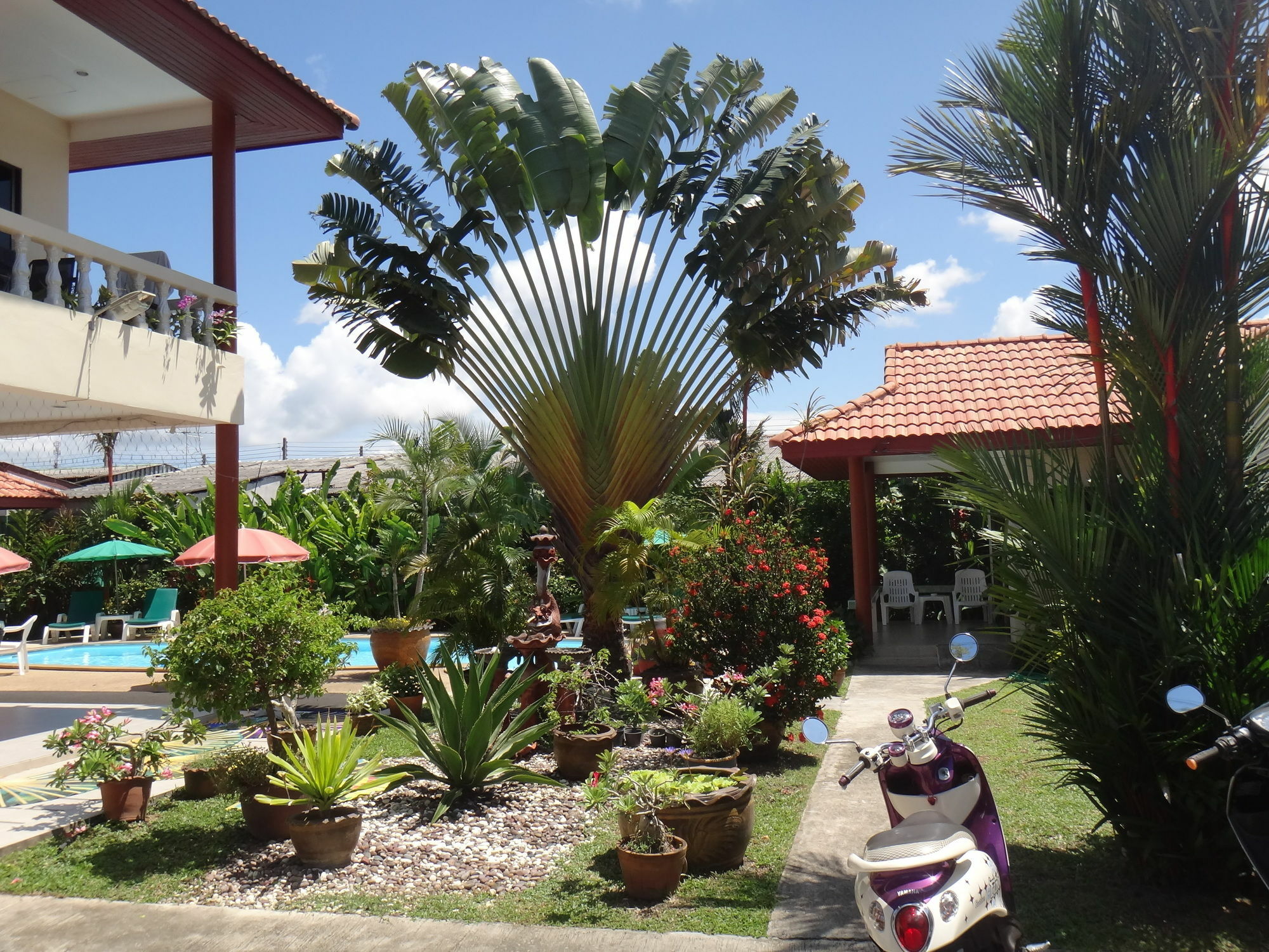 Guest house Sansuko 3*