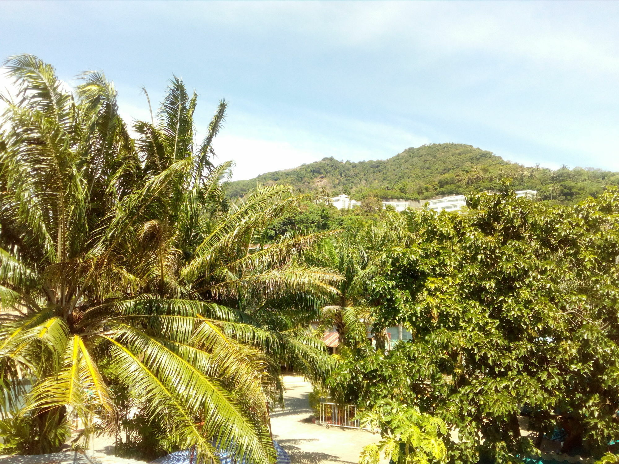 Daveeya'S Place Kata Kata Beach (Phuket)