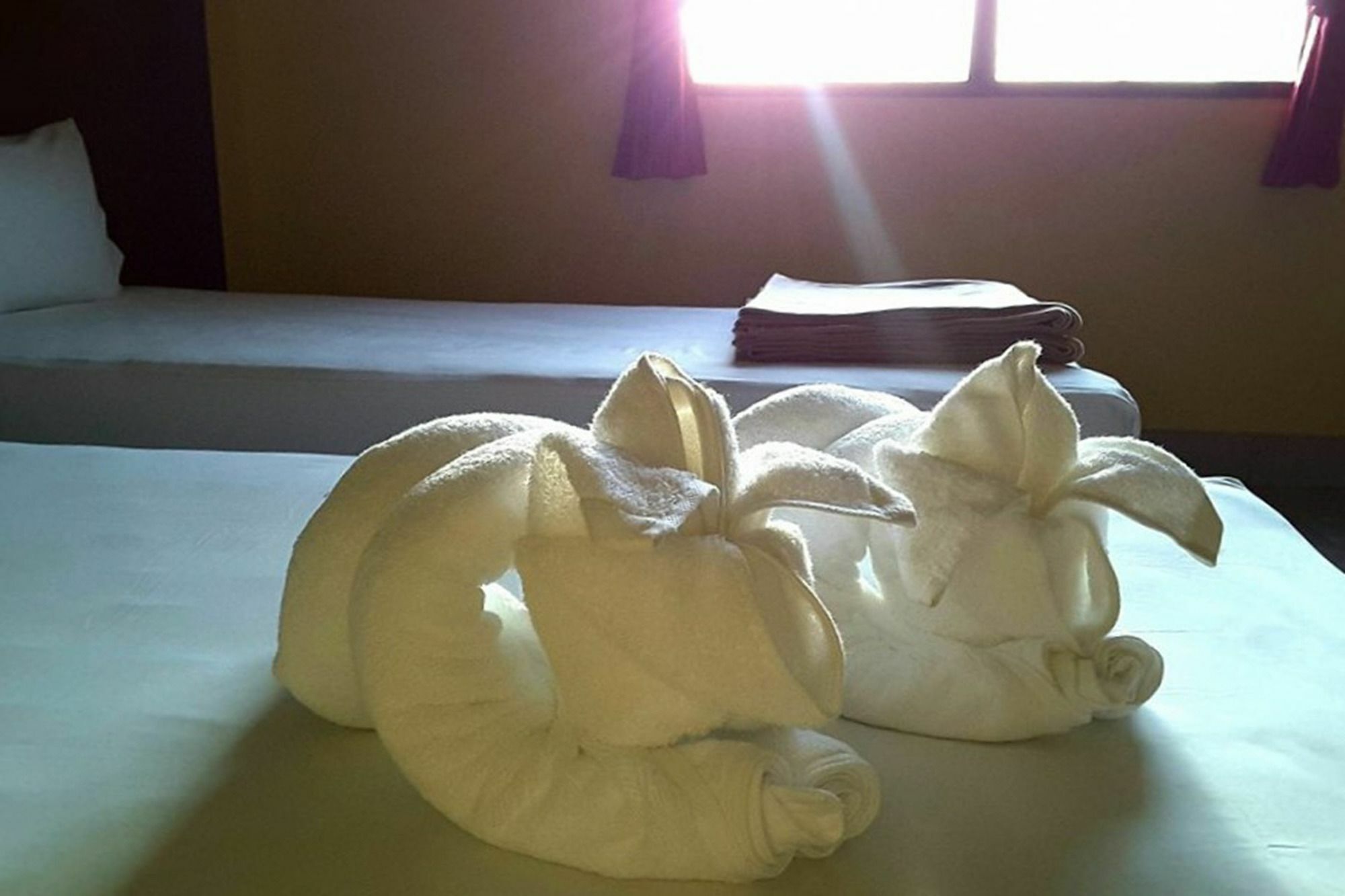 Kookkai House Hostel Patong