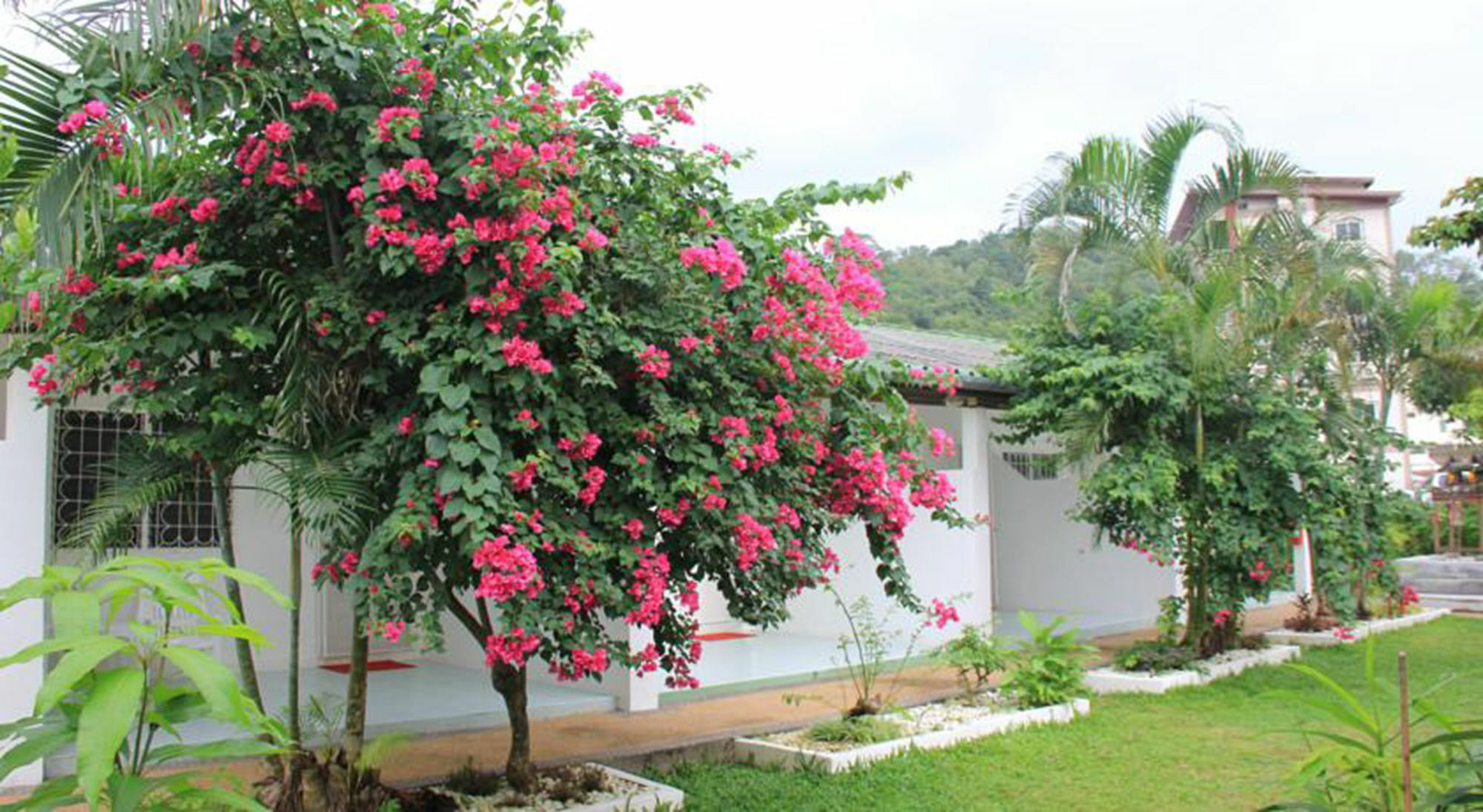 Mali Garden Patong