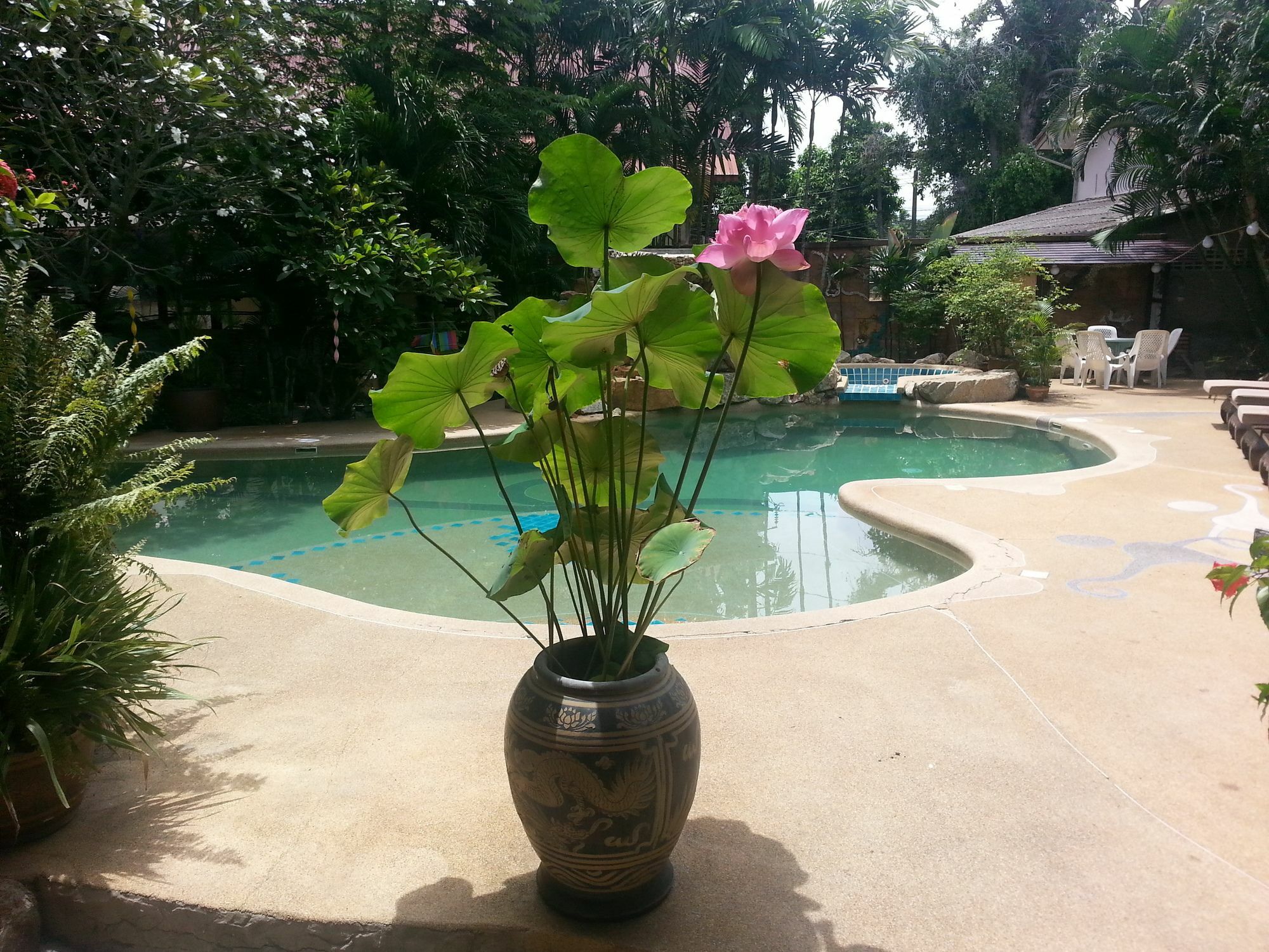 Guest house Shanti Phuket 3*