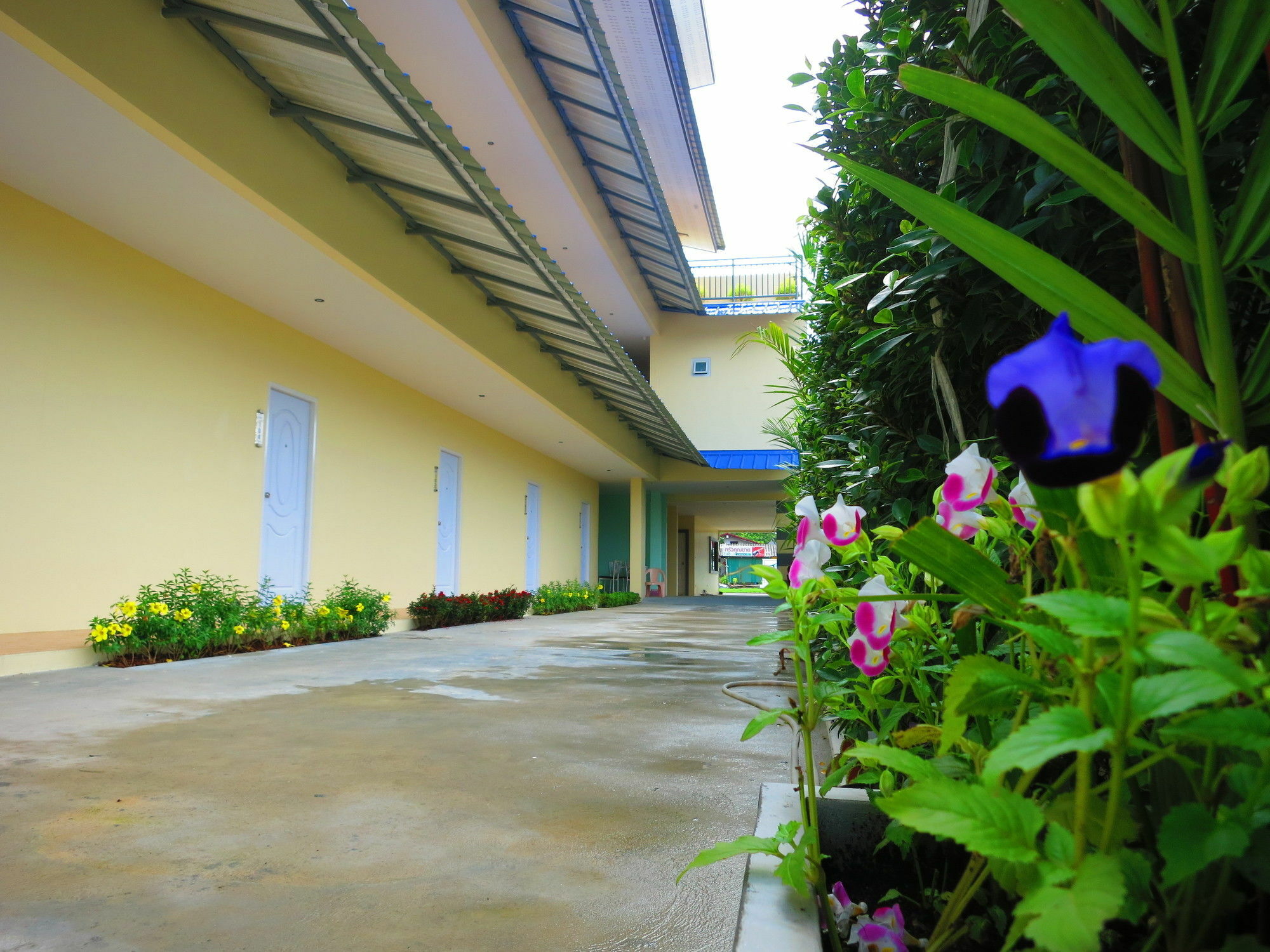 Appartamento Winrisa Place *