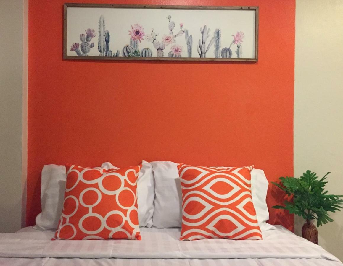 Nouveau Guest house