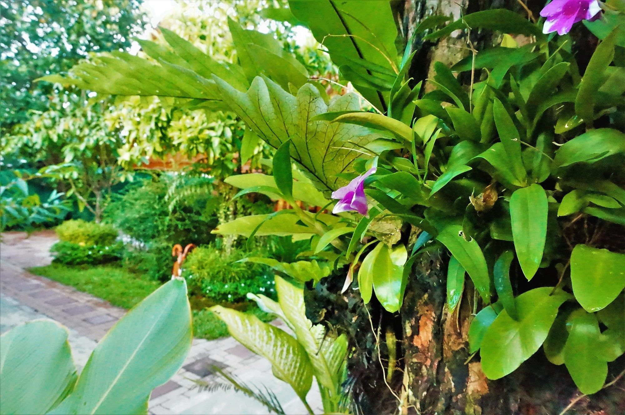Holiday home Ruen Tai Boutique Phuket