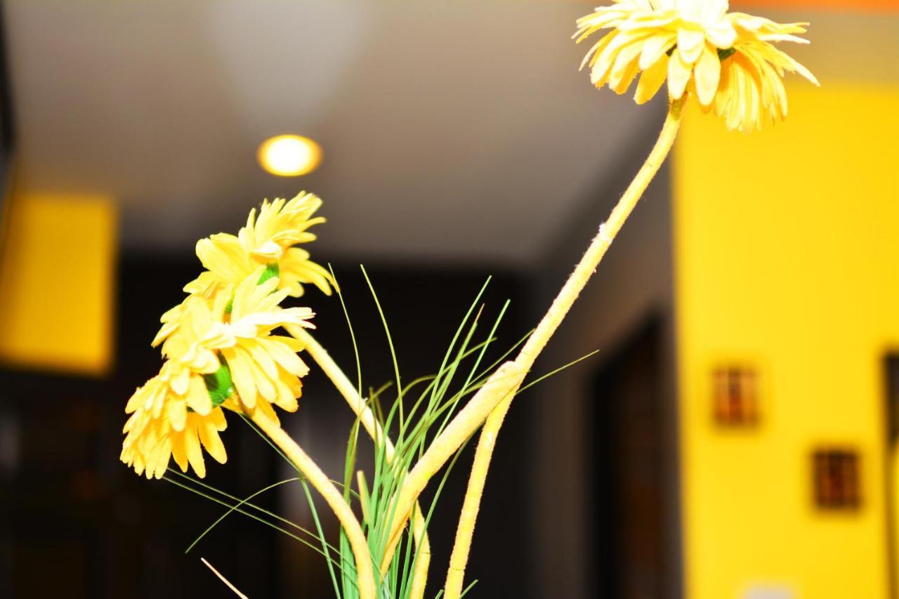 Hotel Lavender