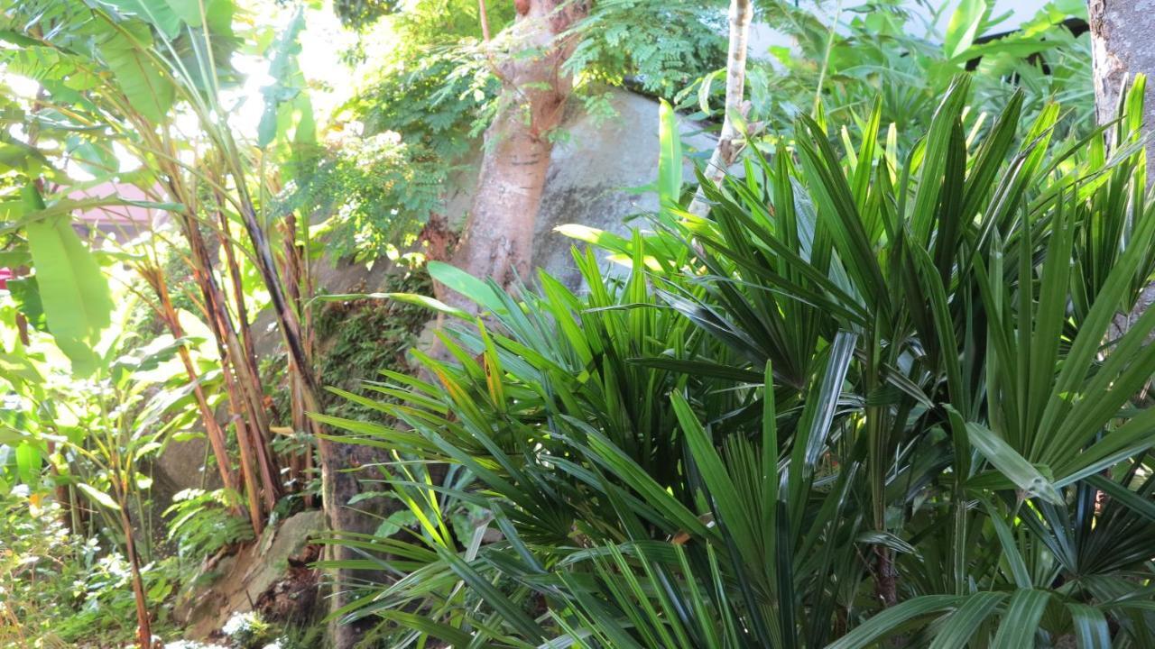 5* 3br In Amari Phuket - Patong