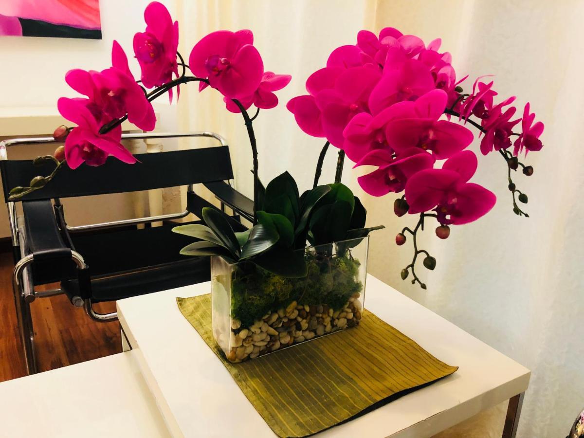 Hotel Baipho Lifestyle