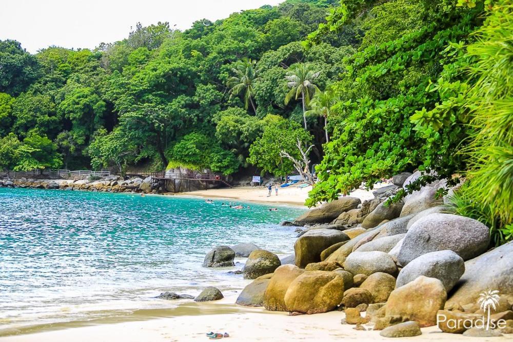 Paradise Backpackers