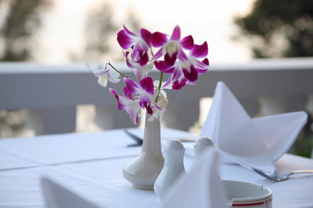 Cliff Contemporary Boutique Bungalows Hotel 3*