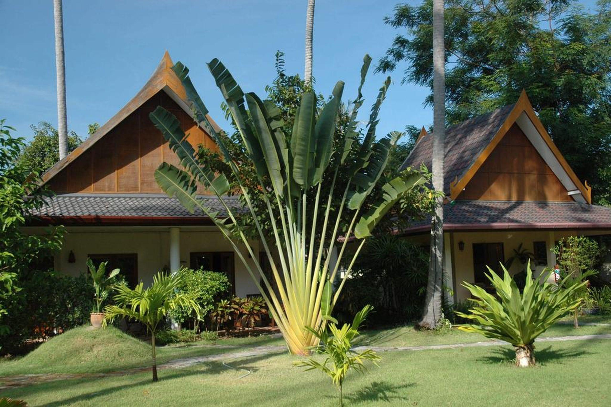 Resort Palm Garden