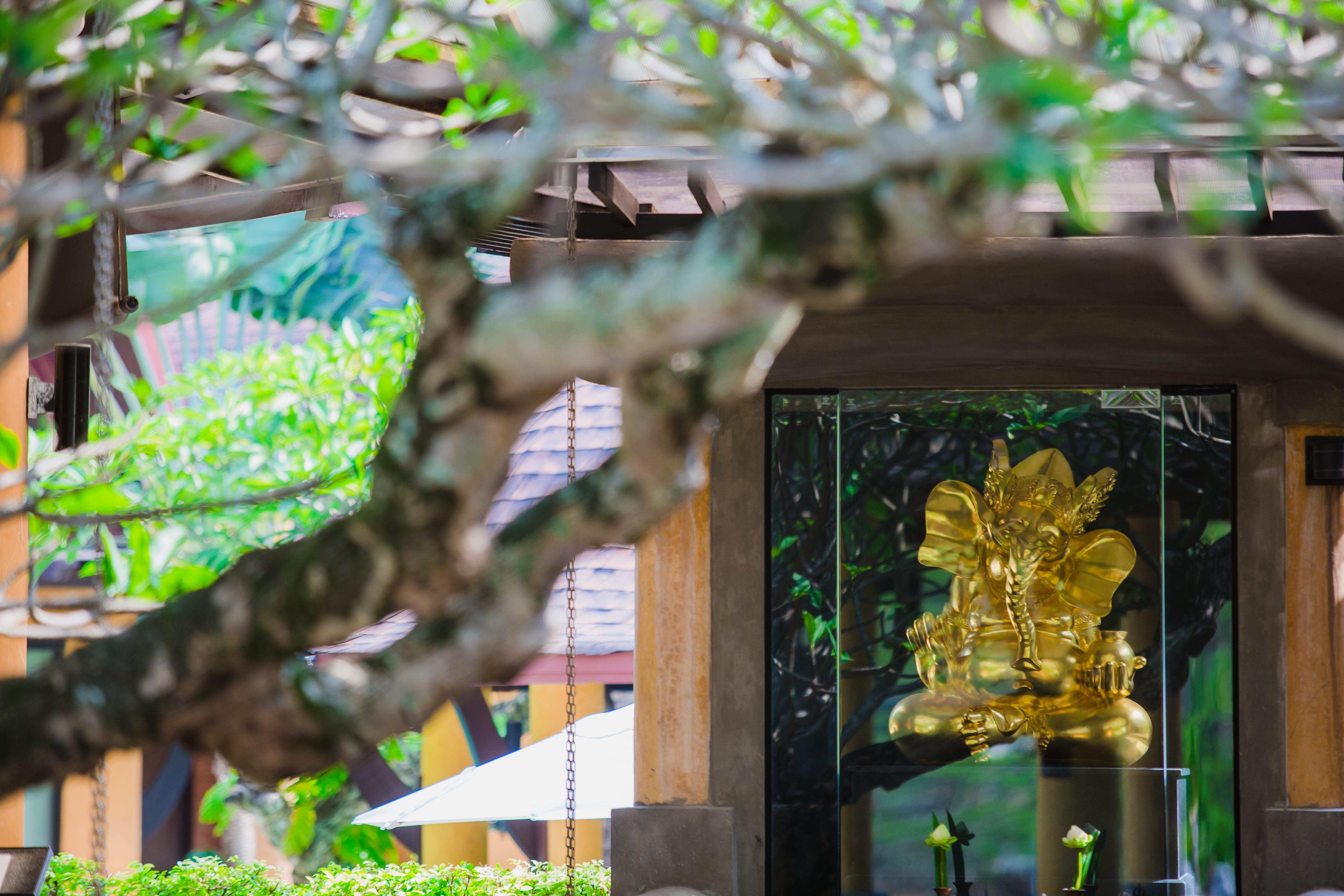 Resort The Village - Sha (adults Only) Karon