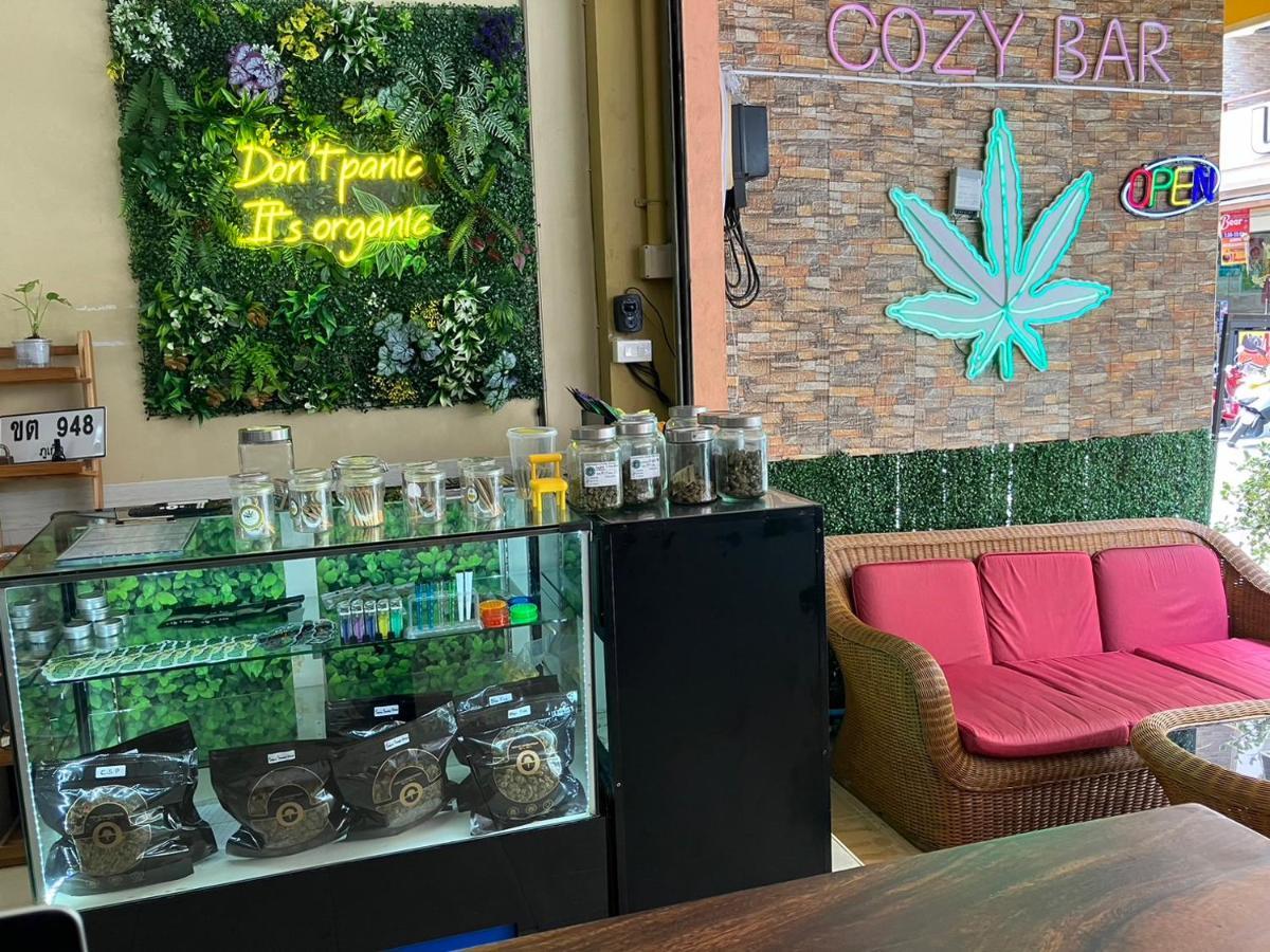 Cozy Place - Free Weeds Bed & Breakfast *