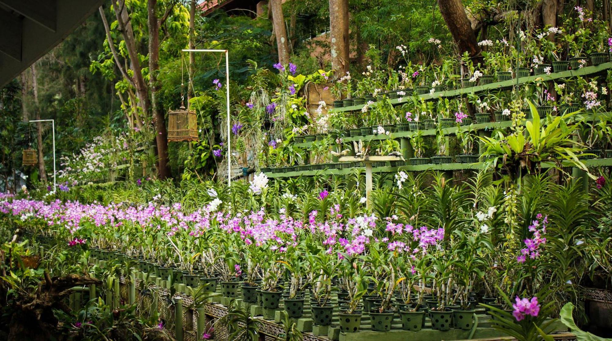 Thavorn Palm Phuket Hotel 5*