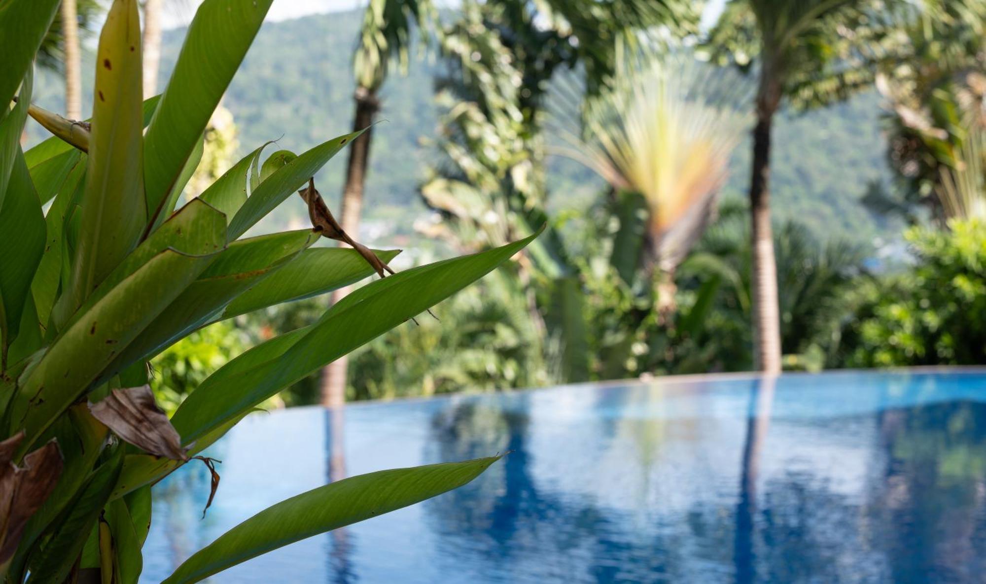 Pousada Baiyok Seaview And Edge Pool Patong