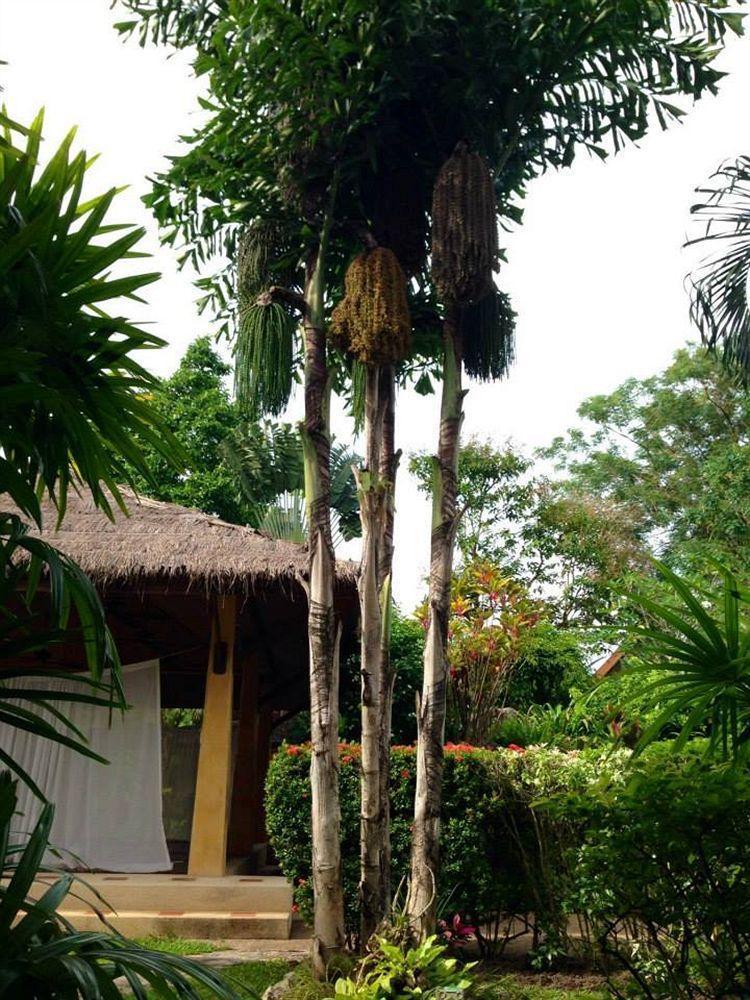 Palm Garden Resort Rawai