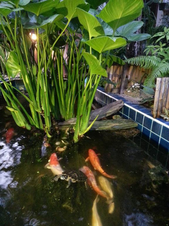 Hotel Baan Orchid