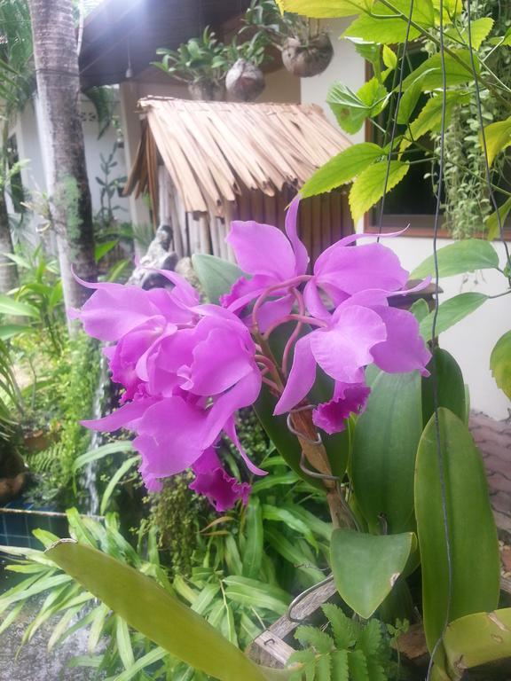 Hotel Baan Orchid Patong