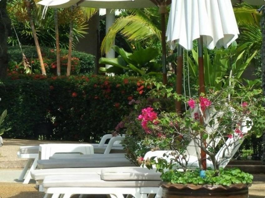 Palm Garden 3*