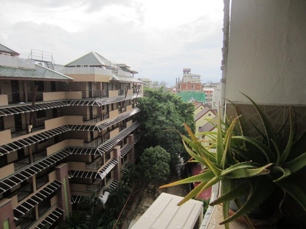 Dao Patong