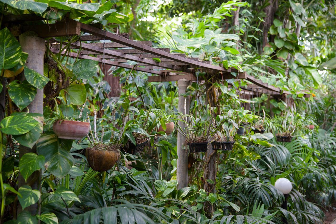 Hotel Tropica