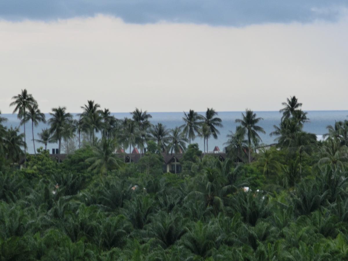 Phuket Palace * Patong