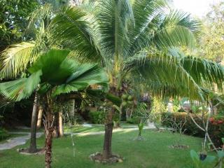 Palm Garden Resort 3*