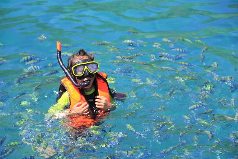 Coral Island Resort 4*