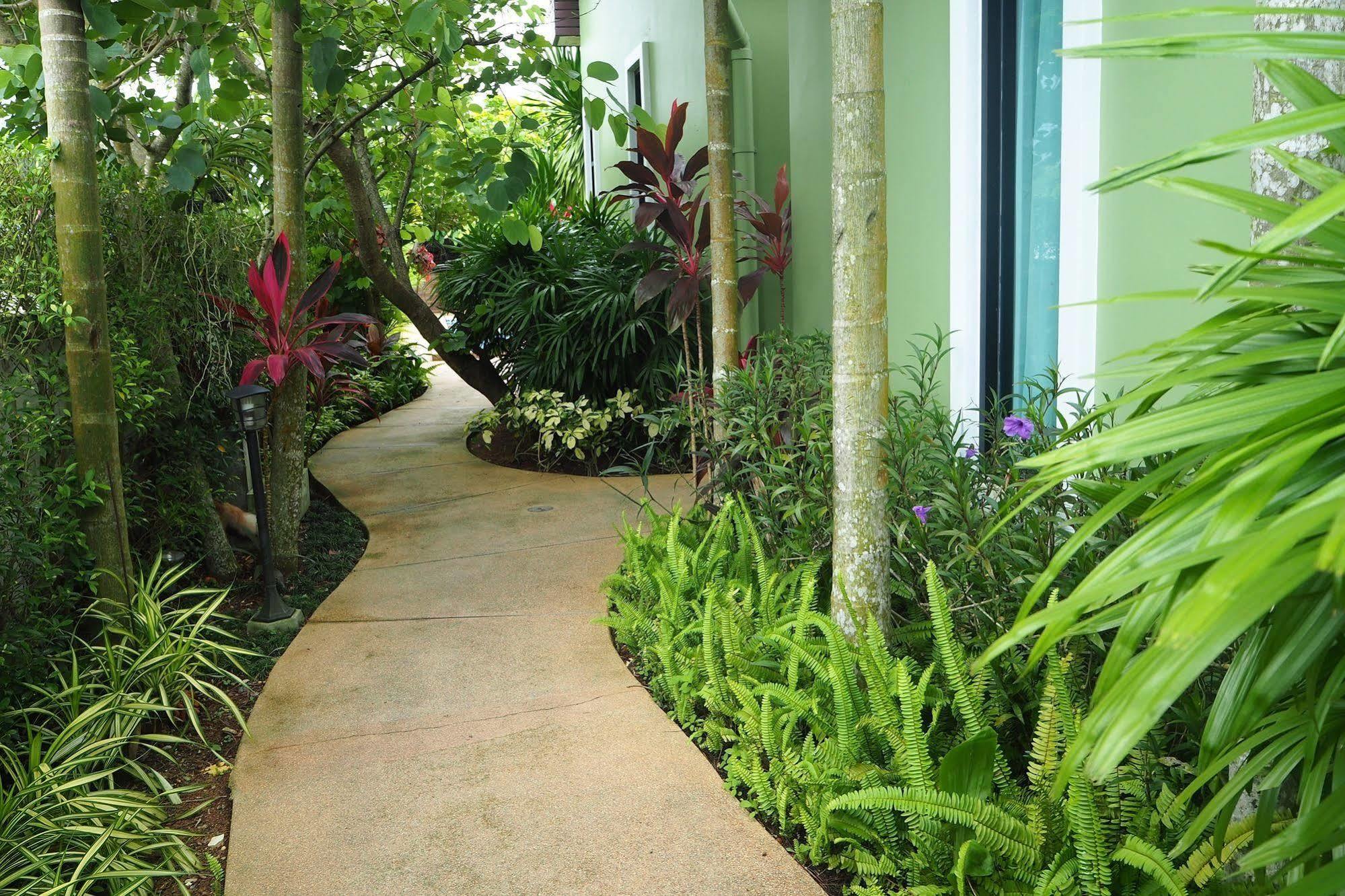 Jinda Nai Yang