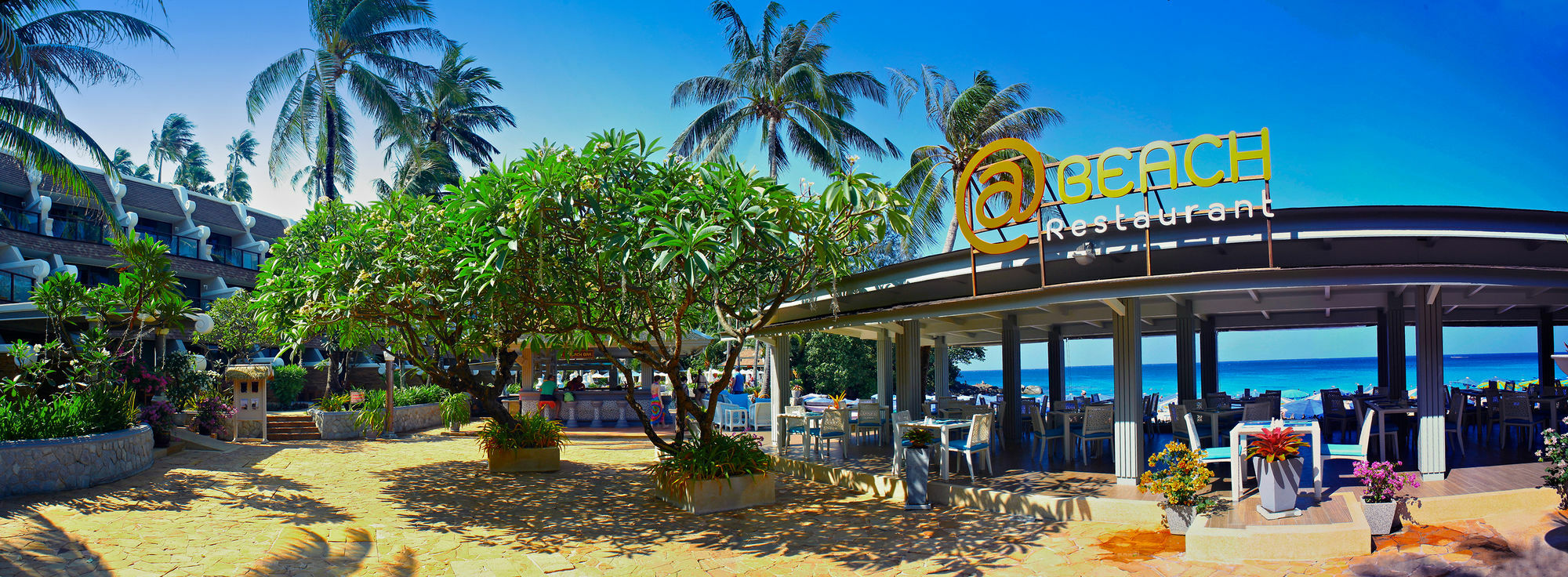 Beyond (adults Only) Resort