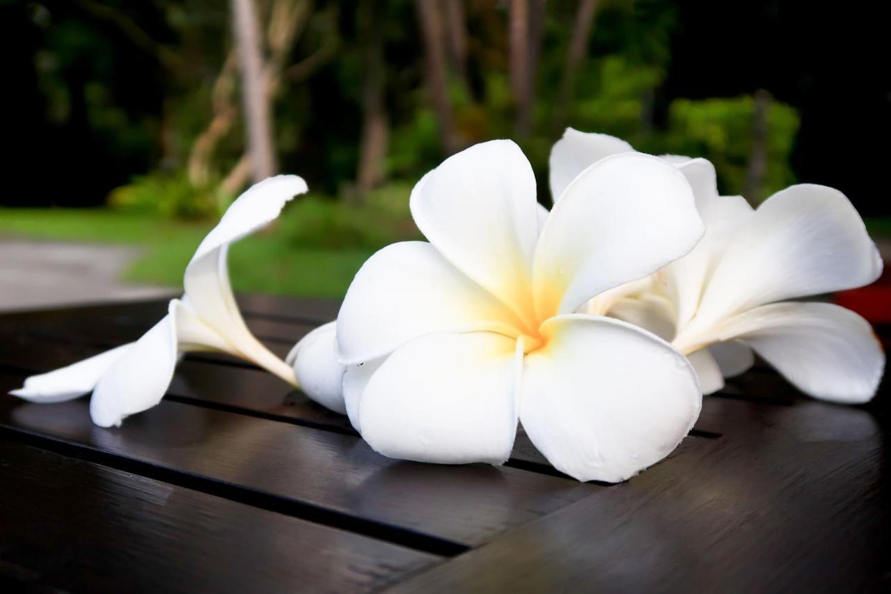Resort Deevana &
