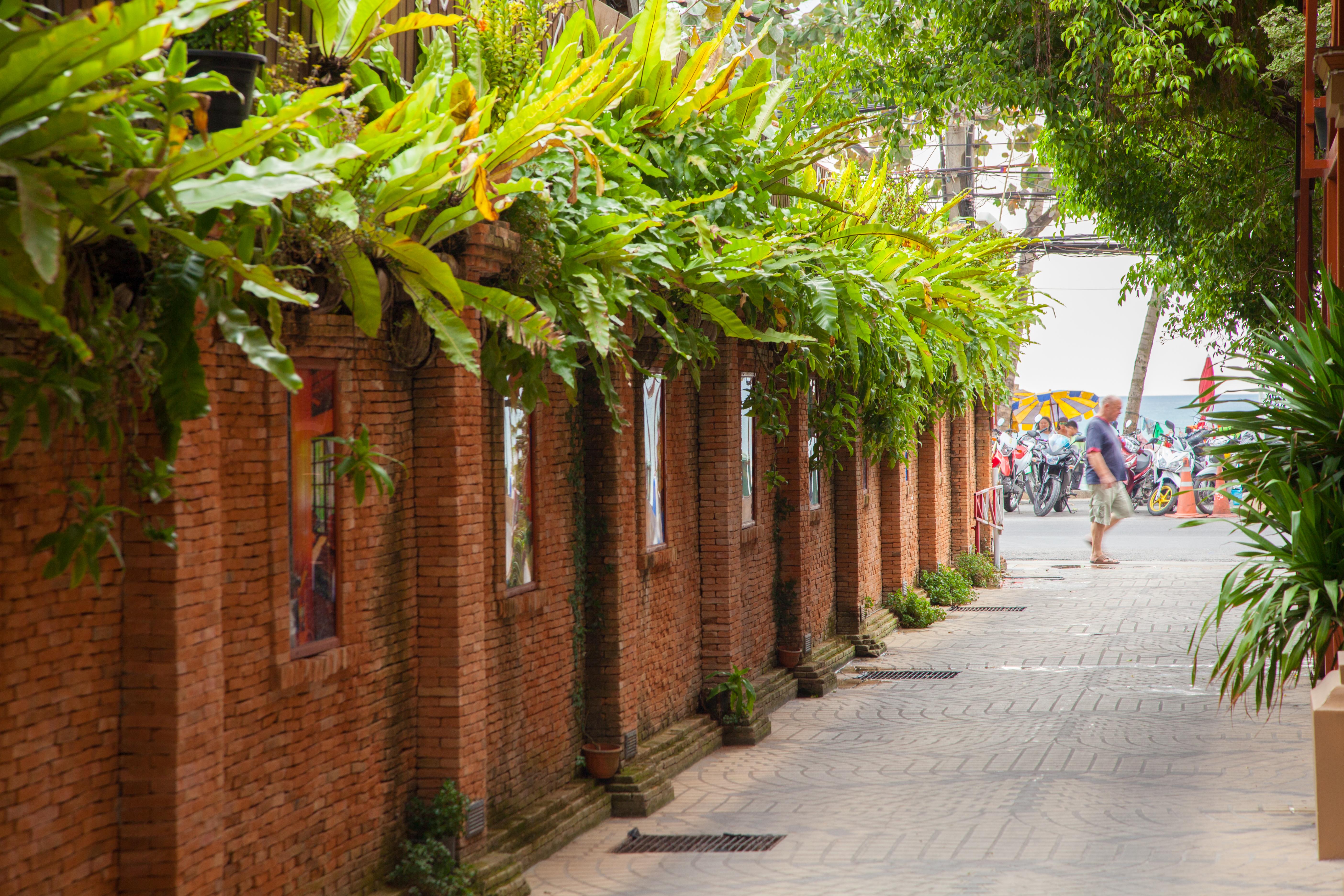 Hotel Tropica