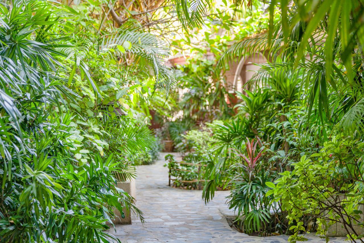 Tropica